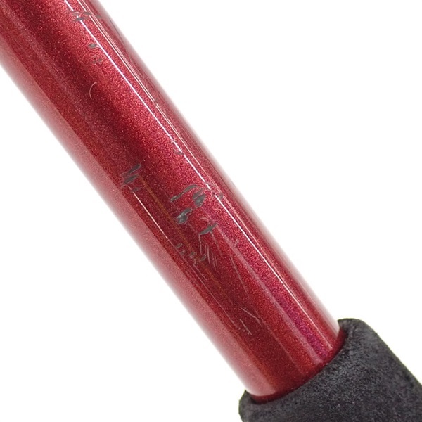 ２０月下美人６１０Ｌ－Ｓ・Ｎ